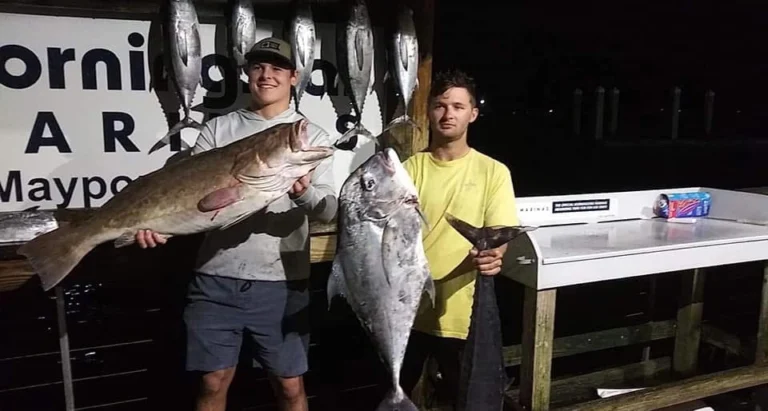 5C81B54B-5E40-46E4-A7D4-53393472AB6F